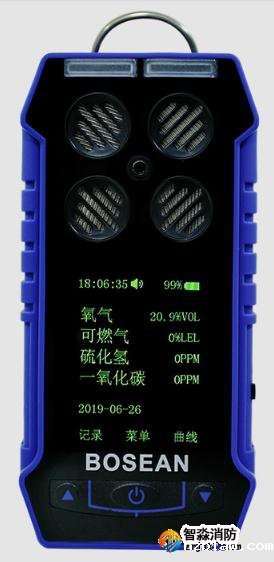 有毒气体检测仪